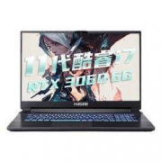 双11预售、PLUS会员：Hasee 神舟 战神 G8-TA7NP 17.3英寸笔记本电脑（i7-11800H、16GB、512GB SSD、RTX3060）