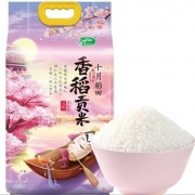 十月稻田 香稻贡米 东北大米 5kg *3件