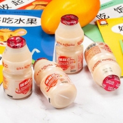 优能达乳酸菌饮料20瓶100ML