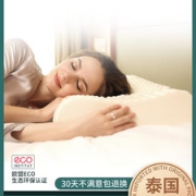 泰国副总理推荐的乳胶品牌  JSY LATEX 泰国进口94%天然乳胶枕头