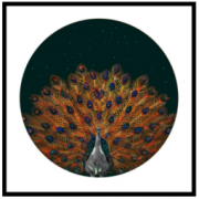 维格列艺术 Pomme Chan 版画《Peacock》100×100cm 2019年 装饰画 限量999版