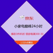 促销活动：京东自营 小家电巅峰24小时 爆款3件85折 领券每满300减30元