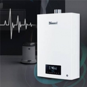 双11预售：Rinnai 林内 JSQ26-C06+SG 燃气热水器 13L 零冷水套装“”
