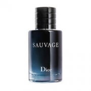 Dior 迪奥 旷野男士淡香水 EDT 60ml