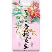 SHI YUE DAO TIAN 十月稻田 香稻贡米 5kg  * 2件