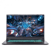 TERRANS FORCE 未来人类 T7 17.3英寸游戏笔记本电脑（i7-11800H、32GB、1T SSD、RTX3070、300Hz、100%sRGB）