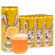 黑美人 百香果/西柚茉莉 果味精酿啤酒 330ml*6罐