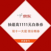京东金融 双十一大促 领分期券 抽最高1111元白条券
