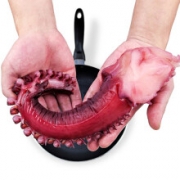 PLUS会员：mr seafood 京鲜生 冷冻章鱼足 净含量0.35kg*3件