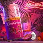 百威 ME3果啤 270ml*10听 罐装