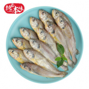 SOLID STANDARD 纯色本味 舟山小黄鱼 700g