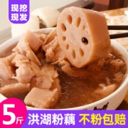 洪湖农家 现挖现发带泥莲藕 2斤