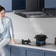 新品发售、双11预售：MIJIA 米家 CXW-260-MJ01A 天然气烟灶套装