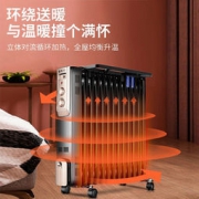 先锋 DYT-Z10 家用电热油汀13片