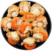 PLUS会员：渔游记 扇贝特大号 500g*4件