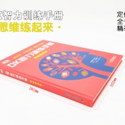 《DK智力训练手册·思维练起来》（精装）