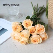 FlowerPlus 花加 园艺鲜花 玫瑰毛花10枝 品种随机