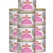 ROYAL CANIN 皇家 1-4个月猫咪主食罐头 195g*10