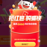 28日12点开始！某东 双11京享红包