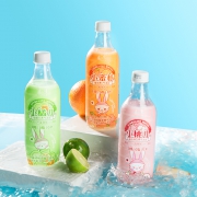 虞小亲 苏打气泡水500ml*9瓶 无糖饮料