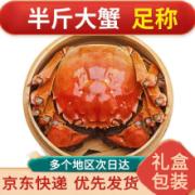 PLUS会员：觅味鲜 鲜活大闸蟹 全公蟹3.3-3.6两10只