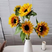 plus会员：FlowerPlus 花加 mini油画向日葵 5枝
