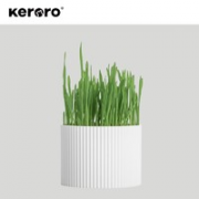去毛球！Keroro 可噜噜 猫草盒+种子3包+营养土1包+3包猫薄荷