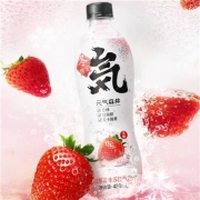 双11预售:元气森林 冬限定版草莓味 苏打气泡水480ml*15瓶 整箱
