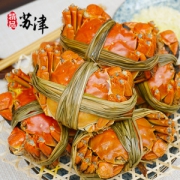 现货 鲜活大闸蟹 全母蟹1.5两*12只