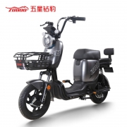 31日20点：五星钻豹 TDT22Z 新国标电动自行车