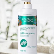 追风 去屑止痒控油 薄荷洗发水 480g