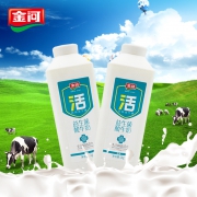 生牛乳发酵 金河 活菌酸奶 1Kg