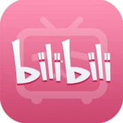 哔哩哔哩 B站VIP 12个月