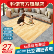 科诺 碳晶地暖垫 进口发热膜 50*30cm小号 适合暖脚