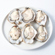 PLUS会员：WECOOK味库  乳山生蚝鲜活牡蛎 5斤*2件