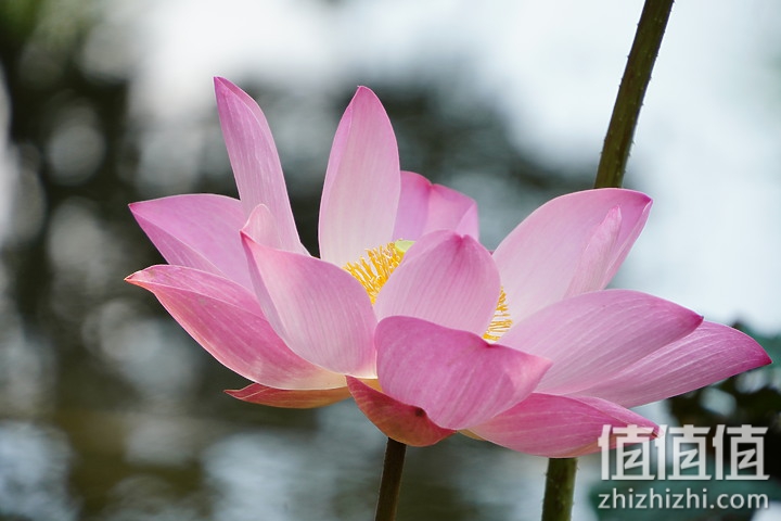 Tamron 18-300mm f/3.5-6.3 DiIII-A VC VXD评测：一镜走天下 便携与画质全都有