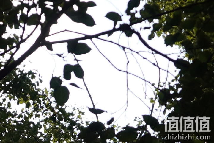 Tamron 18-300mm f/3.5-6.3 DiIII-A VC VXD评测：一镜走天下 便携与画质全都有
