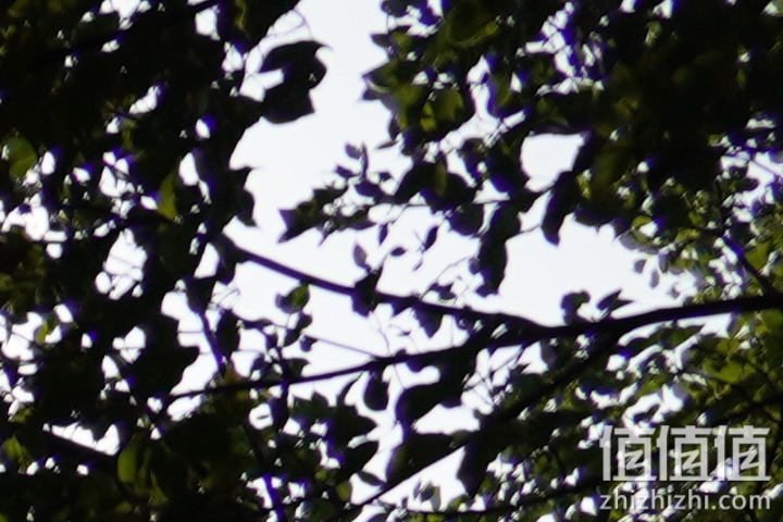 Tamron 18-300mm f/3.5-6.3 DiIII-A VC VXD评测：一镜走天下 便携与画质全都有