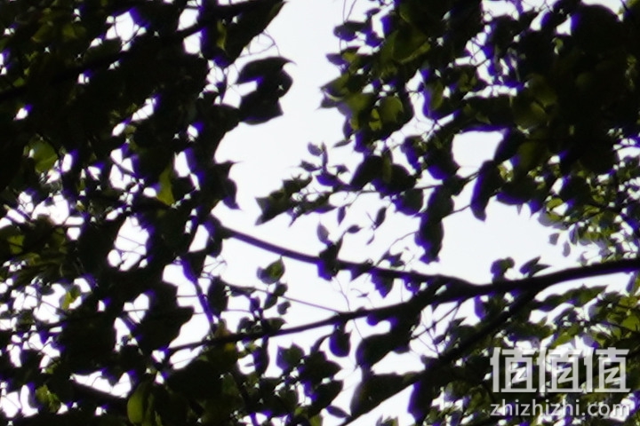 Tamron 18-300mm f/3.5-6.3 DiIII-A VC VXD评测：一镜走天下 便携与画质全都有