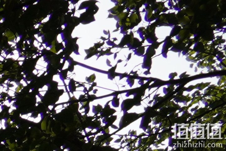 Tamron 18-300mm f/3.5-6.3 DiIII-A VC VXD评测：一镜走天下 便携与画质全都有