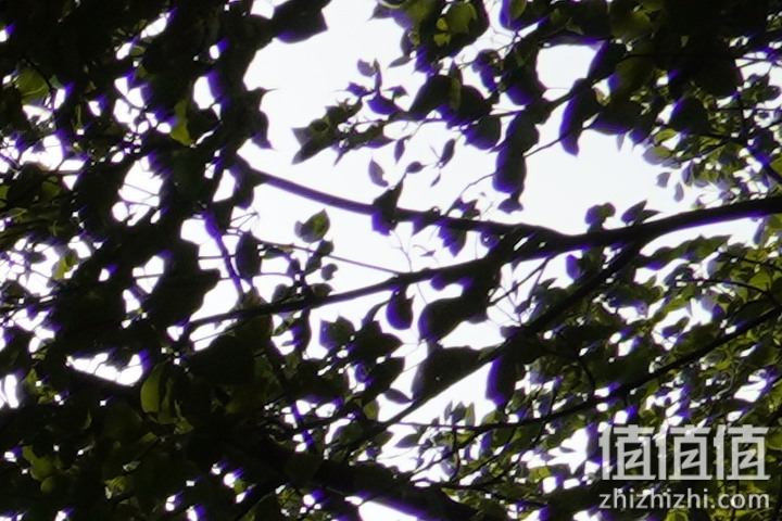 Tamron 18-300mm f/3.5-6.3 DiIII-A VC VXD评测：一镜走天下 便携与画质全都有