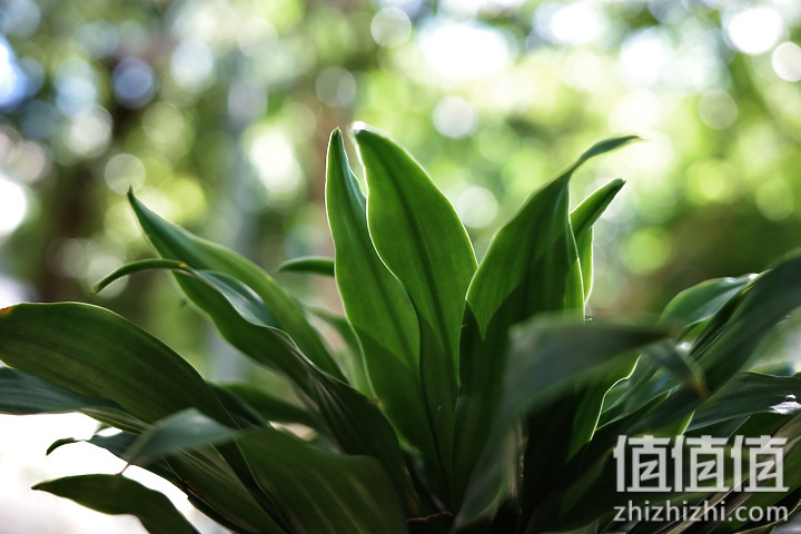 RICOH GR IIIx 评测报告：搭载全新40mm f/2.8 ‧ 带来截然不同的构图视角！