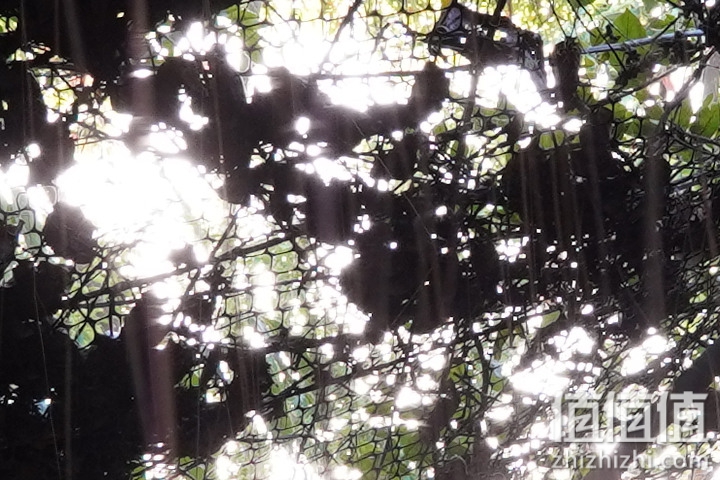 Sigma 18-50mm f/2.8 DC DN Contemporary 评测：290g的副厂镜皇就是香！