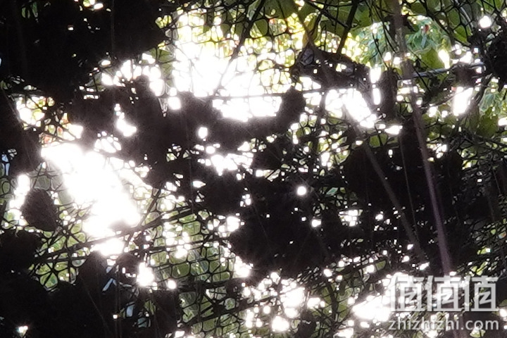 Sigma 18-50mm f/2.8 DC DN Contemporary 评测：290g的副厂镜皇就是香！