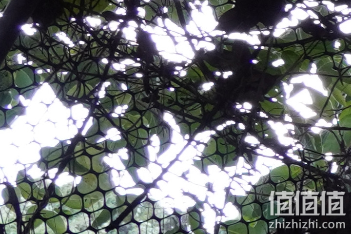 Sigma 18-50mm f/2.8 DC DN Contemporary 评测：290g的副厂镜皇就是香！