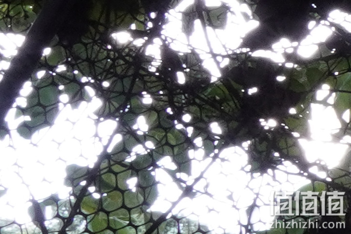 Sigma 18-50mm f/2.8 DC DN Contemporary 评测：290g的副厂镜皇就是香！