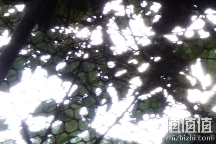 Sigma 18-50mm f/2.8 DC DN Contemporary 评测：290g的副厂镜皇就是香！