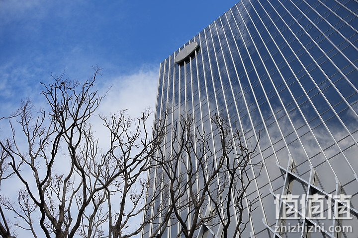 Sigma 18-50mm f/2.8 DC DN Contemporary 评测：290g的副厂镜皇就是香！