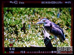 Sony A7 IV 评测：33MP / 4K 60p / 侧翻屏幕‧ 好料满载的诚意之作！