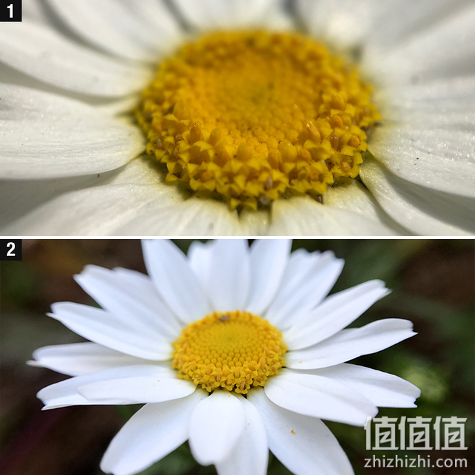 手机镜头怎么选择？手机外接式镜头选购指南